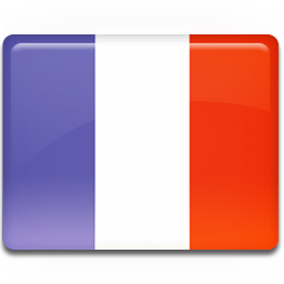 France_Flag_icon.png